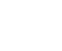 logo---STM22dog